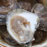 Huîtres Plates BELON de Cancale (grosses) - une douzaine
