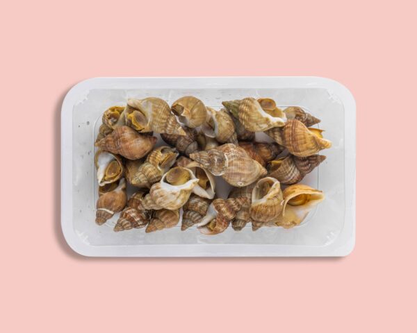Bulots cuits de Normandie - 400g – Image 1