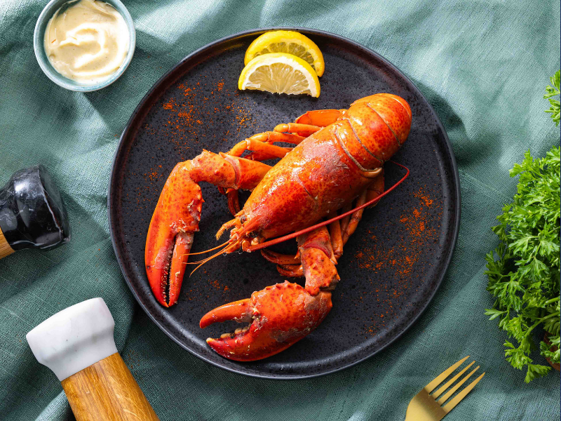 Homard américain