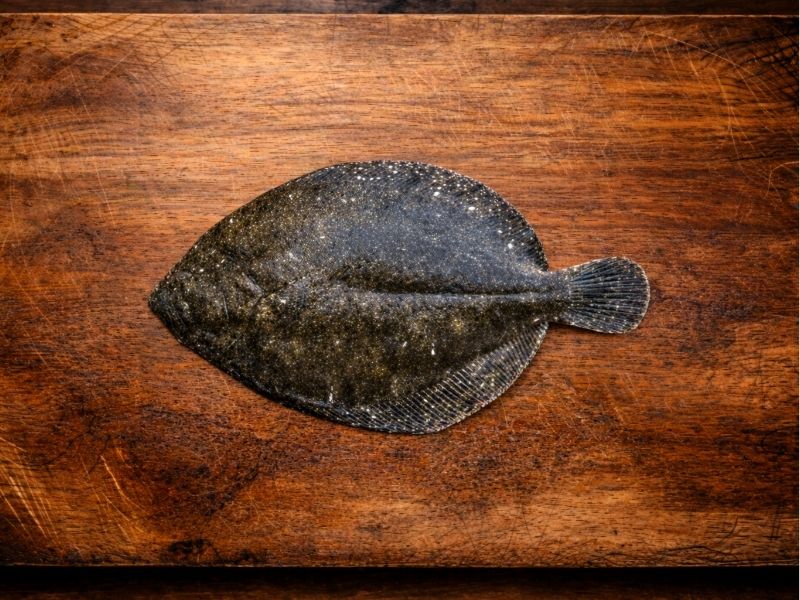 Barbue