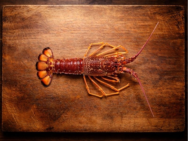 Langouste Royale