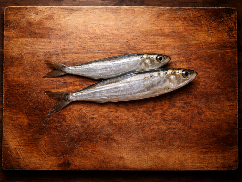 Sardine méditerranée