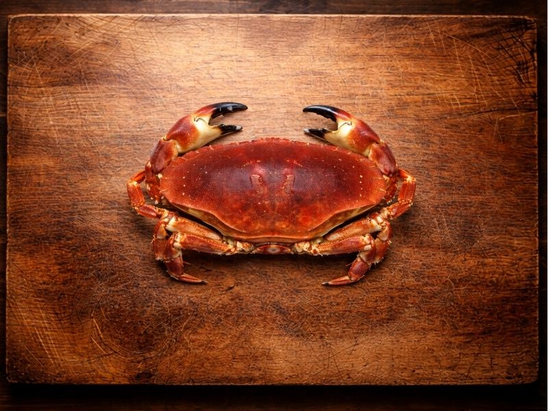 Tourteau casier