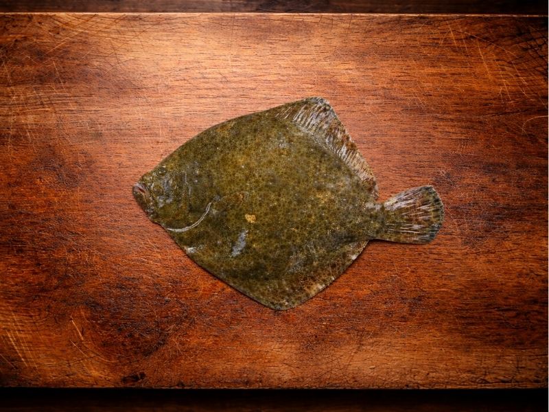 Turbot vidé